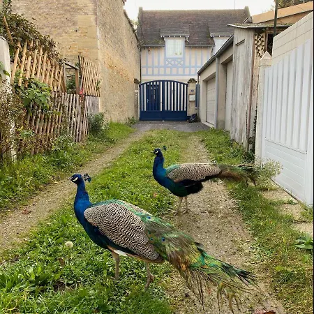 Balaena - Maison Avec Jardin Proche Prázdninový dům Luc-sur-Mer